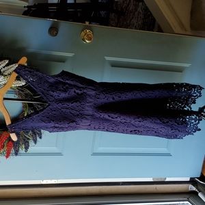 Banana Republic Fit-and-Flare Navy Lace Dress Size 0